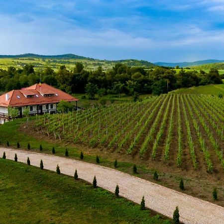 Pensiunea Sonnenhof Sighisoara Luaran gambar
